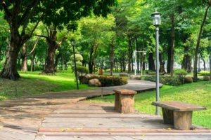 Servicios Integrales 32 Imagen de un jardín público
